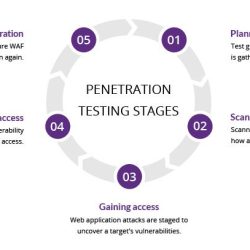 Web Penetration Testing